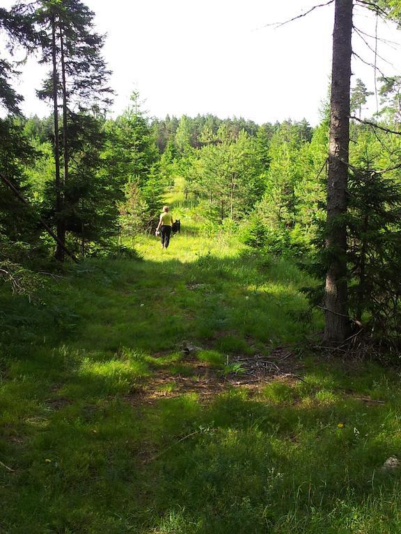 Maenniste Holiday Home Hiievalja Chambre photo